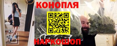 трава Кингисепп
