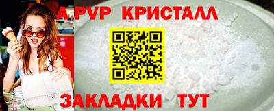 спиды Кимры